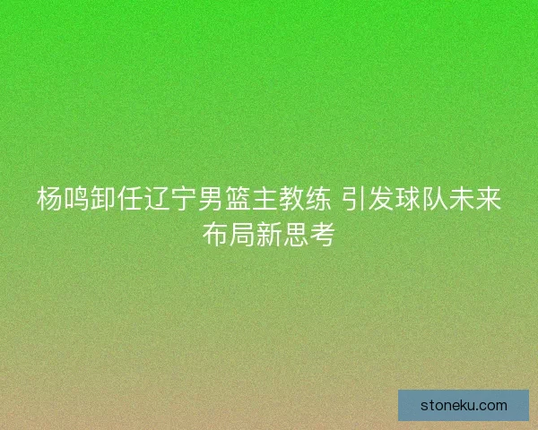 杨鸣卸任辽宁男篮主教练 引发球队未来布局新思考