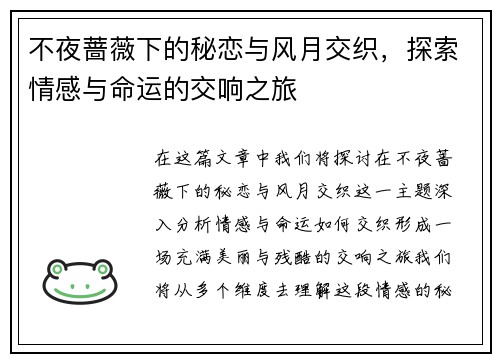 不夜蔷薇下的秘恋与风月交织，探索情感与命运的交响之旅