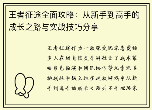 王者征途全面攻略：从新手到高手的成长之路与实战技巧分享
